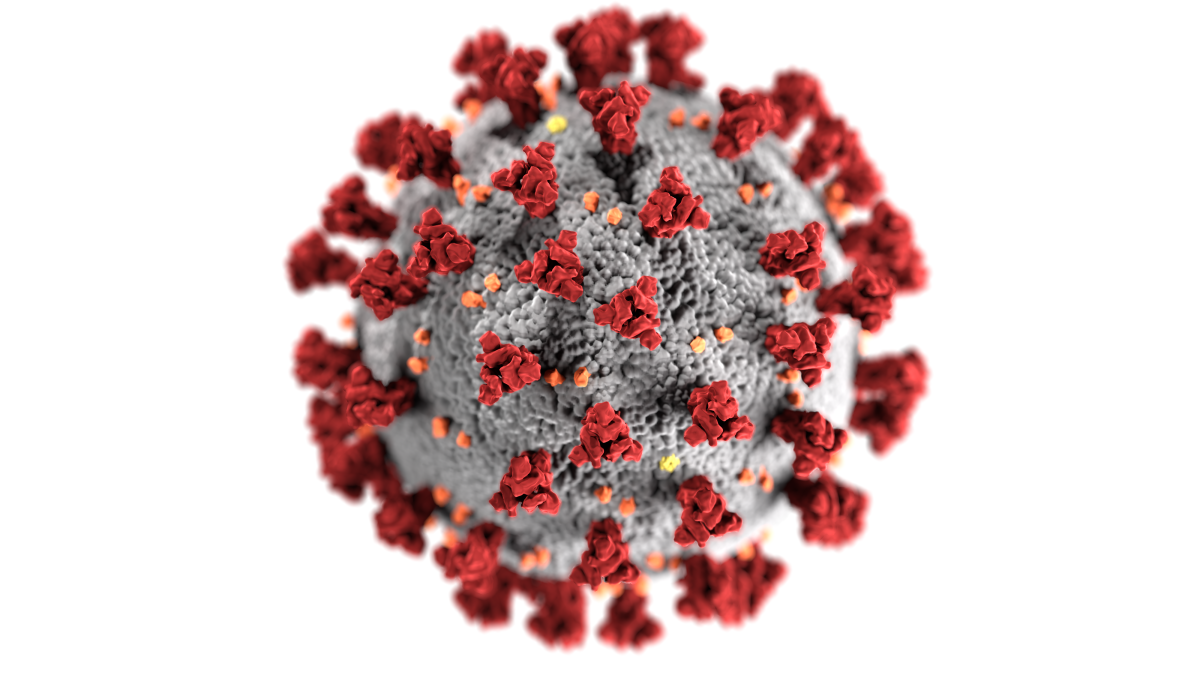 Photo Courtesy of the Center for Disease Control (CDC)